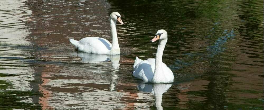 Hotel Löwen - Umgebung