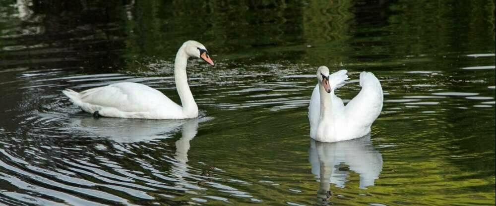 Hotel Löwen - Umgebung