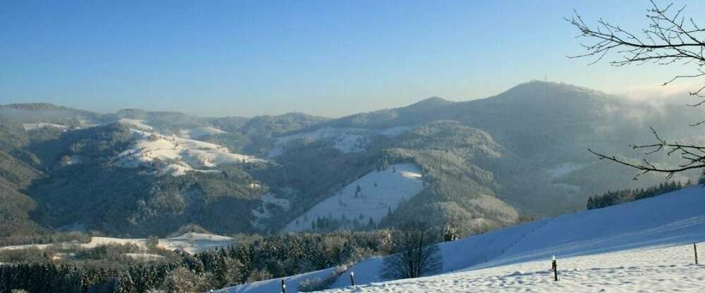 Hotel Löwen - Umgebung