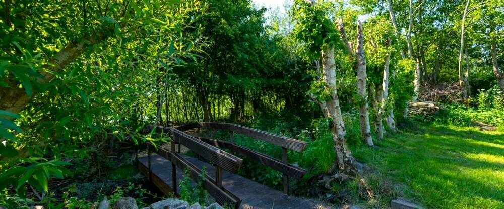 Hotel Nordstern - Terrasse/Außenbereich