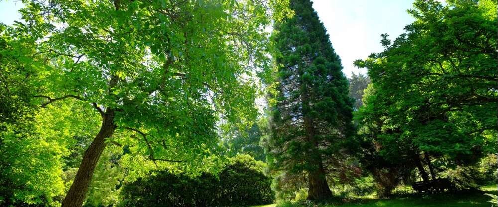 Hotel Orbtal - Hotel-Außenansicht