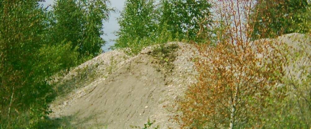 Hotel-Pension Grüne Linde - Umgebung