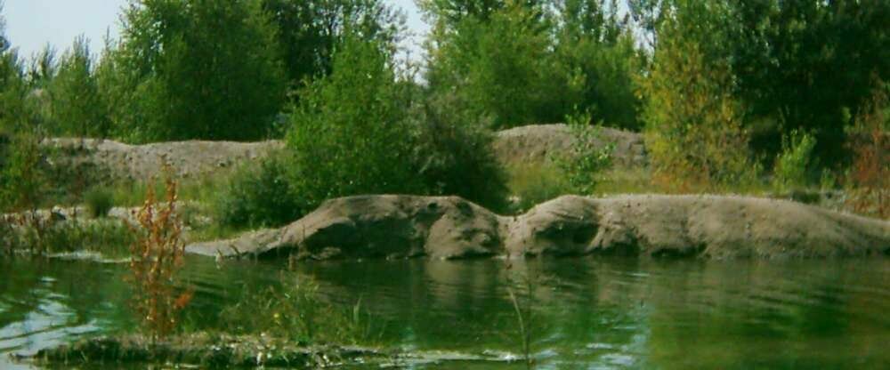 Hotel-Pension Grüne Linde - Umgebung