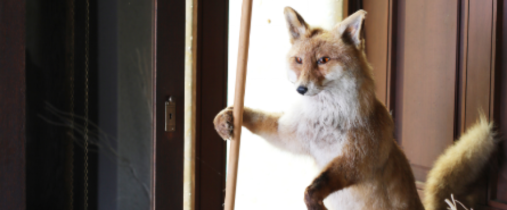 Hotel Restaurant Adler Stube - Hotel-Innenansicht