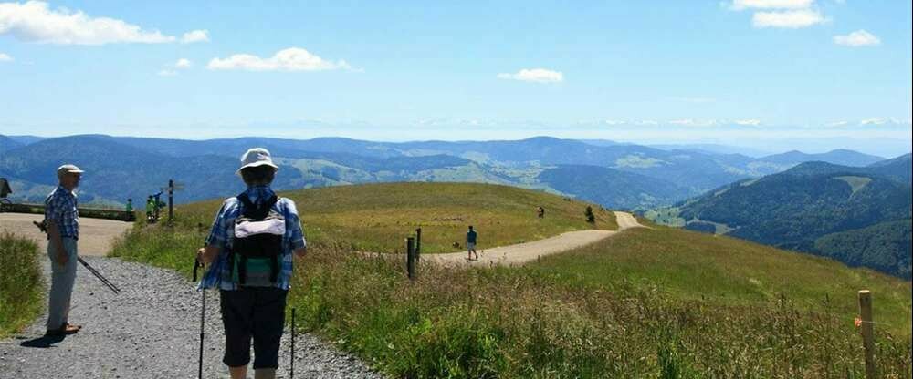 Wandern auf dem Belchen (1414m)