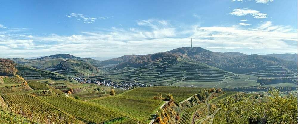 Vogtsburg im Kaiserstuhl