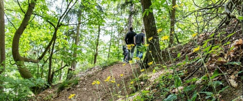 Hotel-Restaurant Bastenhaus - Umgebung
