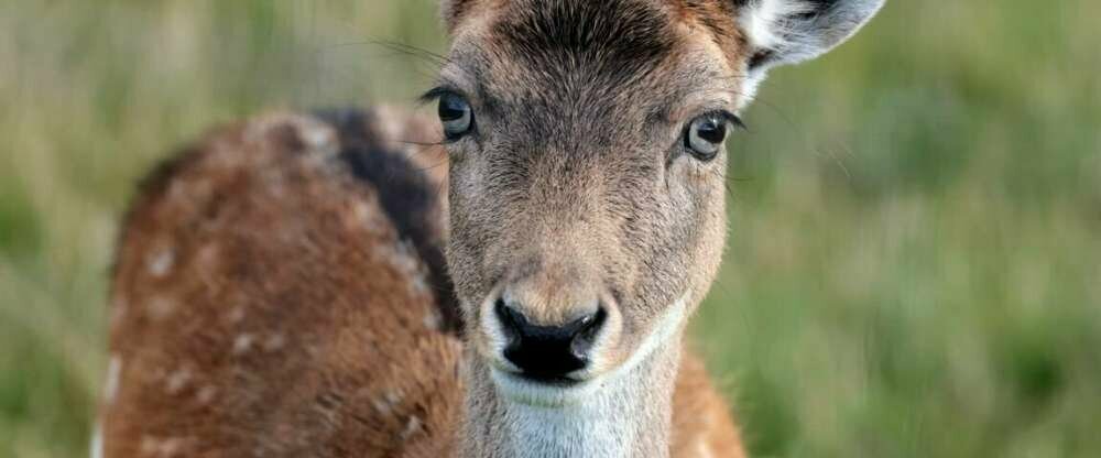 Hotel-Restaurant Bibermühle GmbH - Hotel-Außenansicht