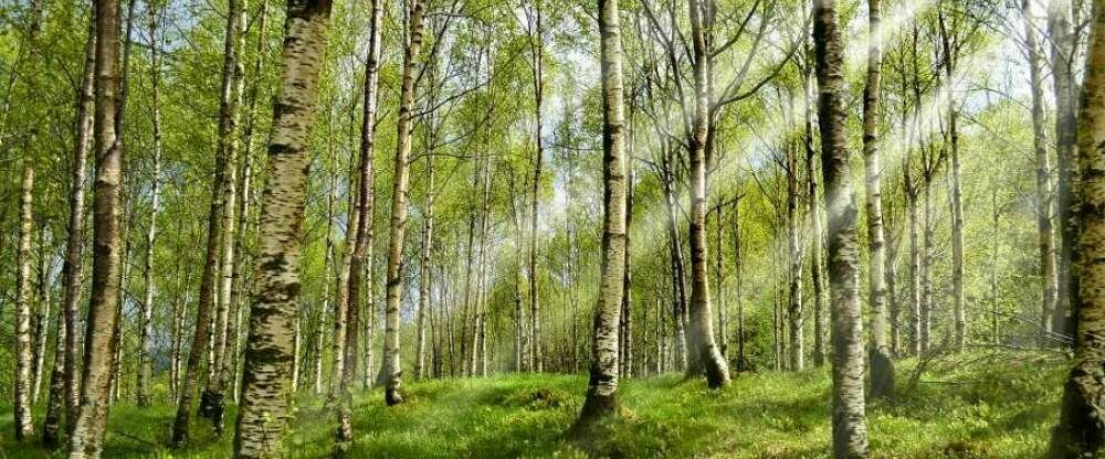 Hotel-Restaurant Klosterhof - Umgebung