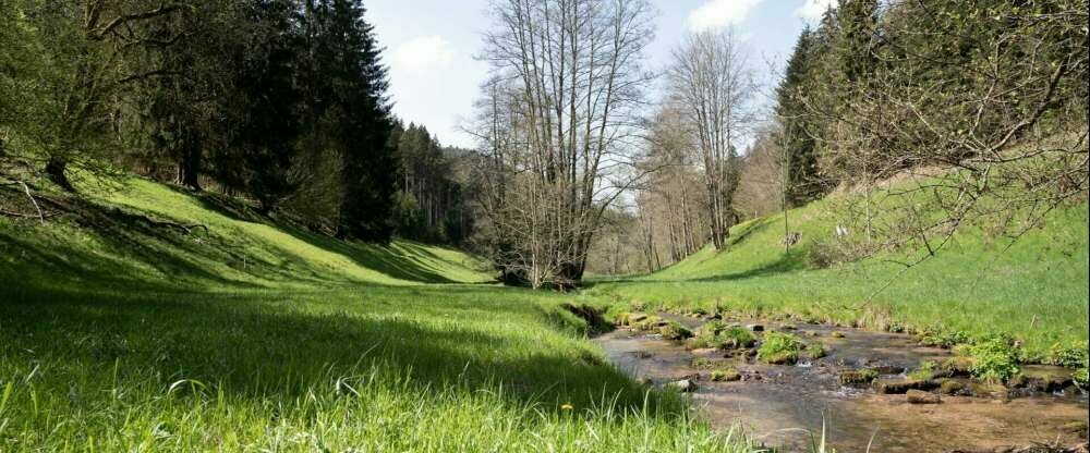 Hotel Rössle Berneck - Umgebung