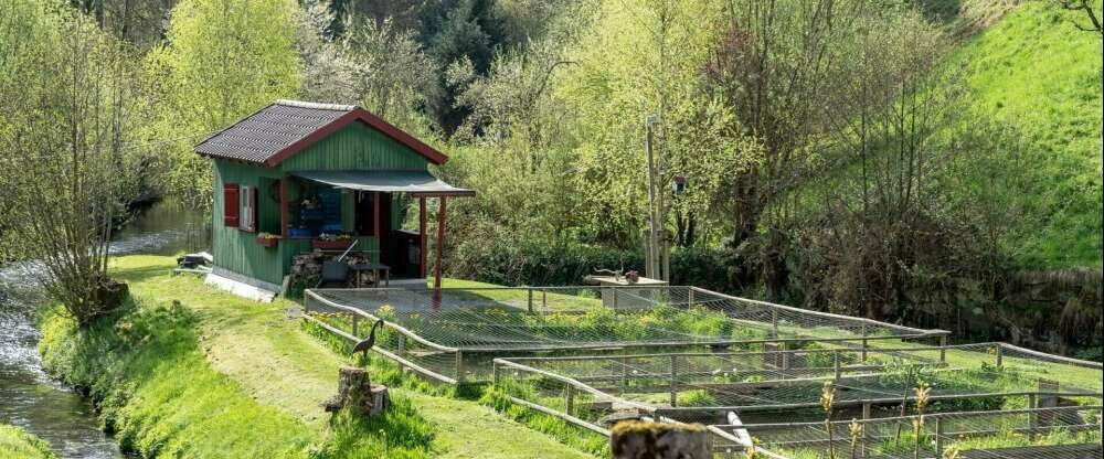 Hotel Rössle Berneck - Umgebung