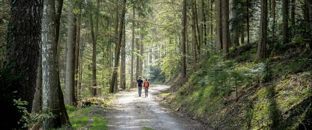 Hotel Rössle Berneck - Umgebung