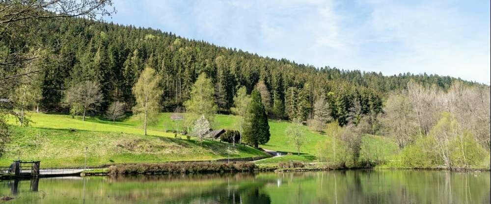 Hotel Rössle Berneck - Umgebung