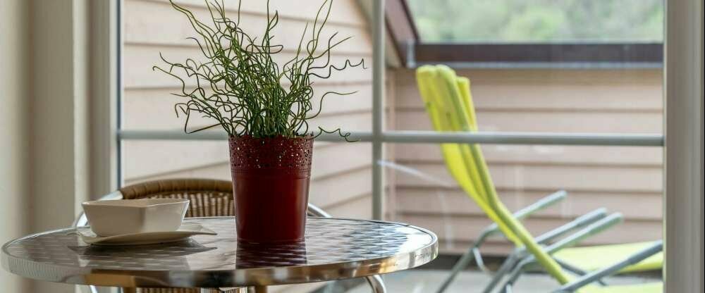 Hotel Rössle Berneck - Wellnessbereich