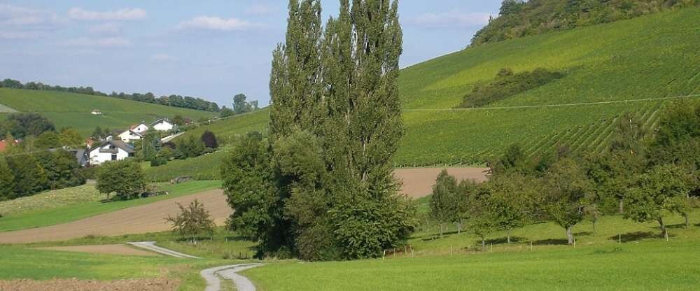 Hotel Rose Bitzfeld - Umgebung
