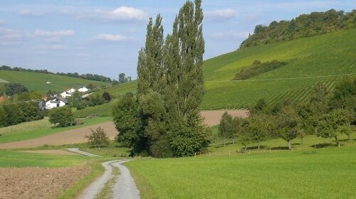 Hotel Rose Bitzfeld - Umgebung