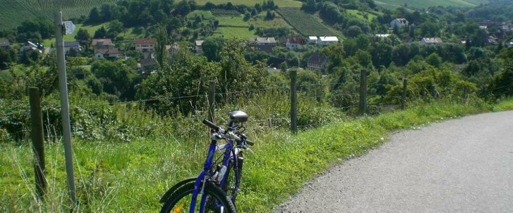 Hotel Rose Bitzfeld - Umgebung