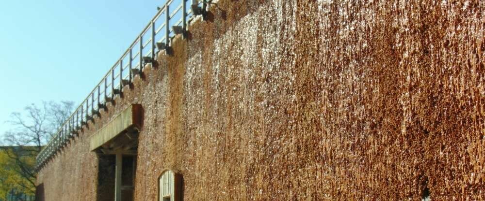 Hotel Rosengarten - Umgebung