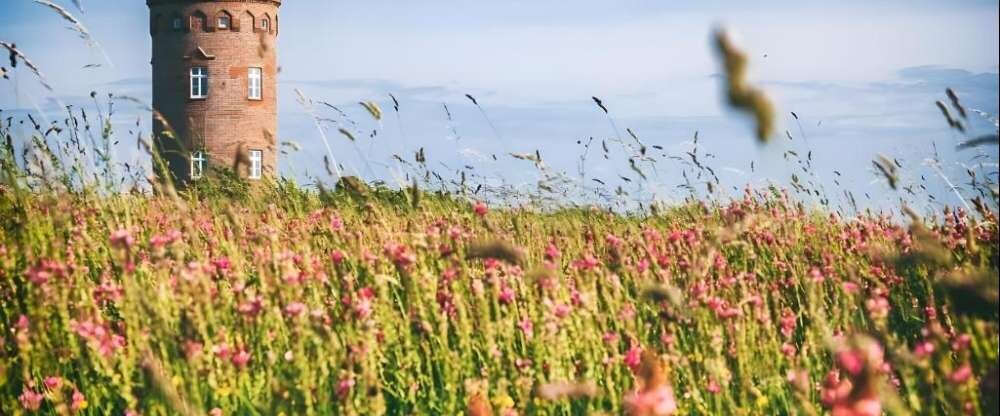 Hotel Rügenschmiede - Umgebung