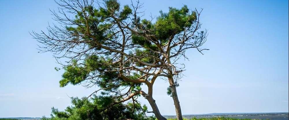 Hotel Rügenschmiede - Umgebung