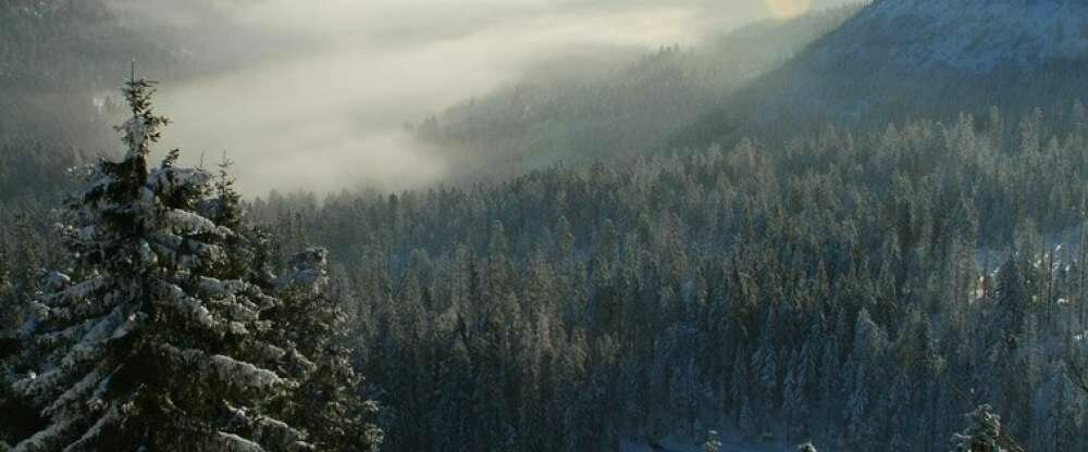 Hotel Sackmann - Umgebung