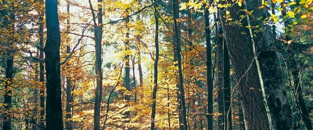 Hotel Sackmann - Umgebung