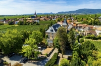 Hotel Schloss Edesheim - Hotel-Außenansicht