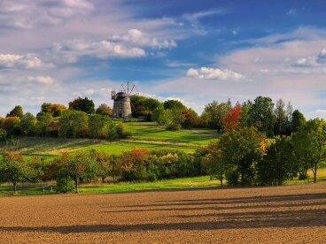 Array, Quelle: Hotel Schloss Nebra