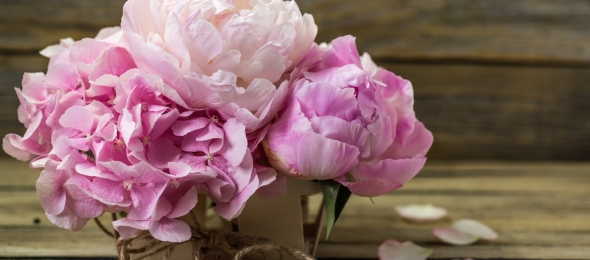 Hotel Schloss Nebra - Sonstiges, Quelle: Hotel Schloss Nebra