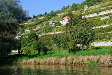 Array, Quelle: Hotel Schloss Nebra