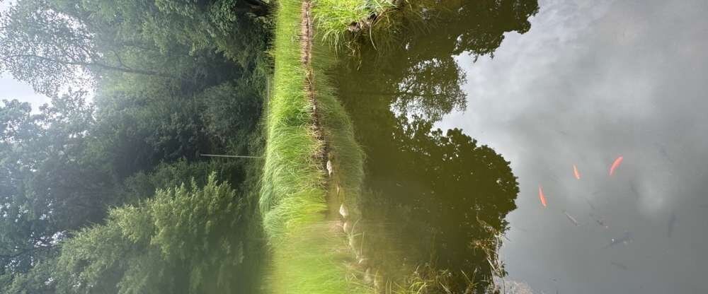 Hotel Schwanenweiher - Umgebung