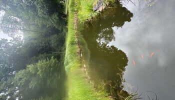 Hotel Schwanenweiher - Umgebung