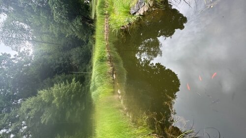 Hotel Schwanenweiher - Umgebung