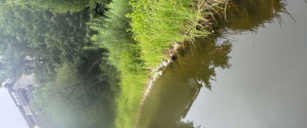 Hotel Schwanenweiher - Umgebung