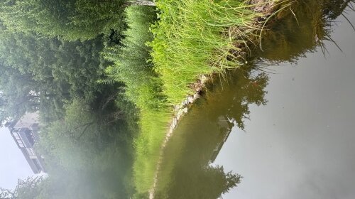 Hotel Schwanenweiher - Umgebung