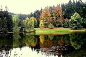 Hotel Schwarzbachtal Hideaway - Umgebung