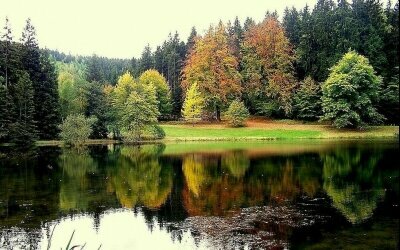 Hotel Schwarzbachtal Hideaway - Umgebung