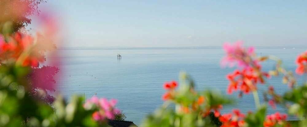 Hotel Seeperle - Umgebung 