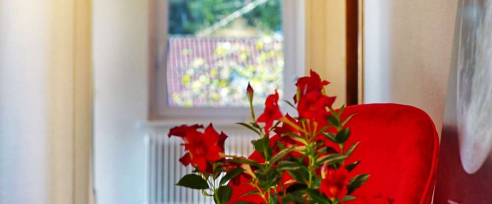 Hotel Sonnenschein - Hotel-Innenansicht