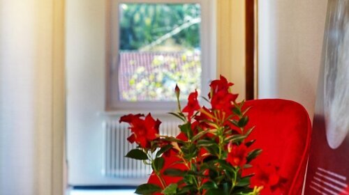 Hotel Sonnenschein - Hotel-Innenansicht