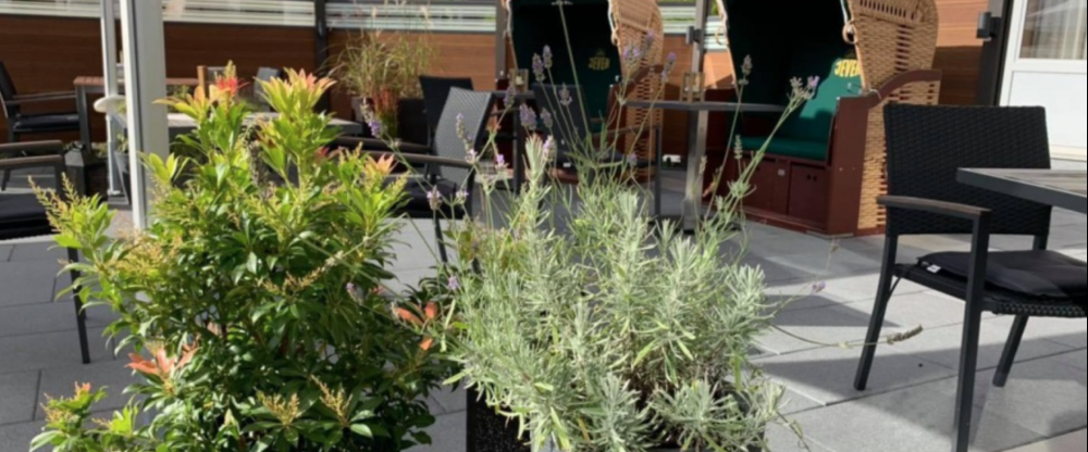 Hotel Stadt Aurich - Terrasse/Außenbereich