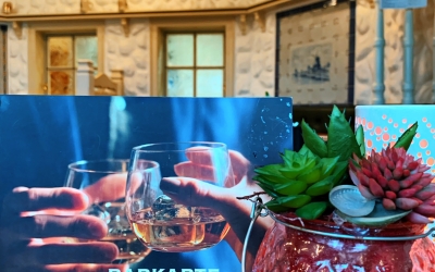 Hotel Steinsgarten Gießen GmbH - Bar/Disco