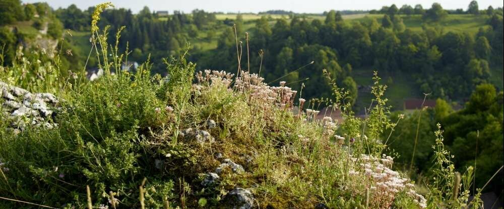 Hotel Stempferhof - Umgebung
