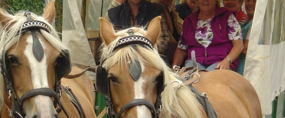 Hotel & Restaurant - Umgebung