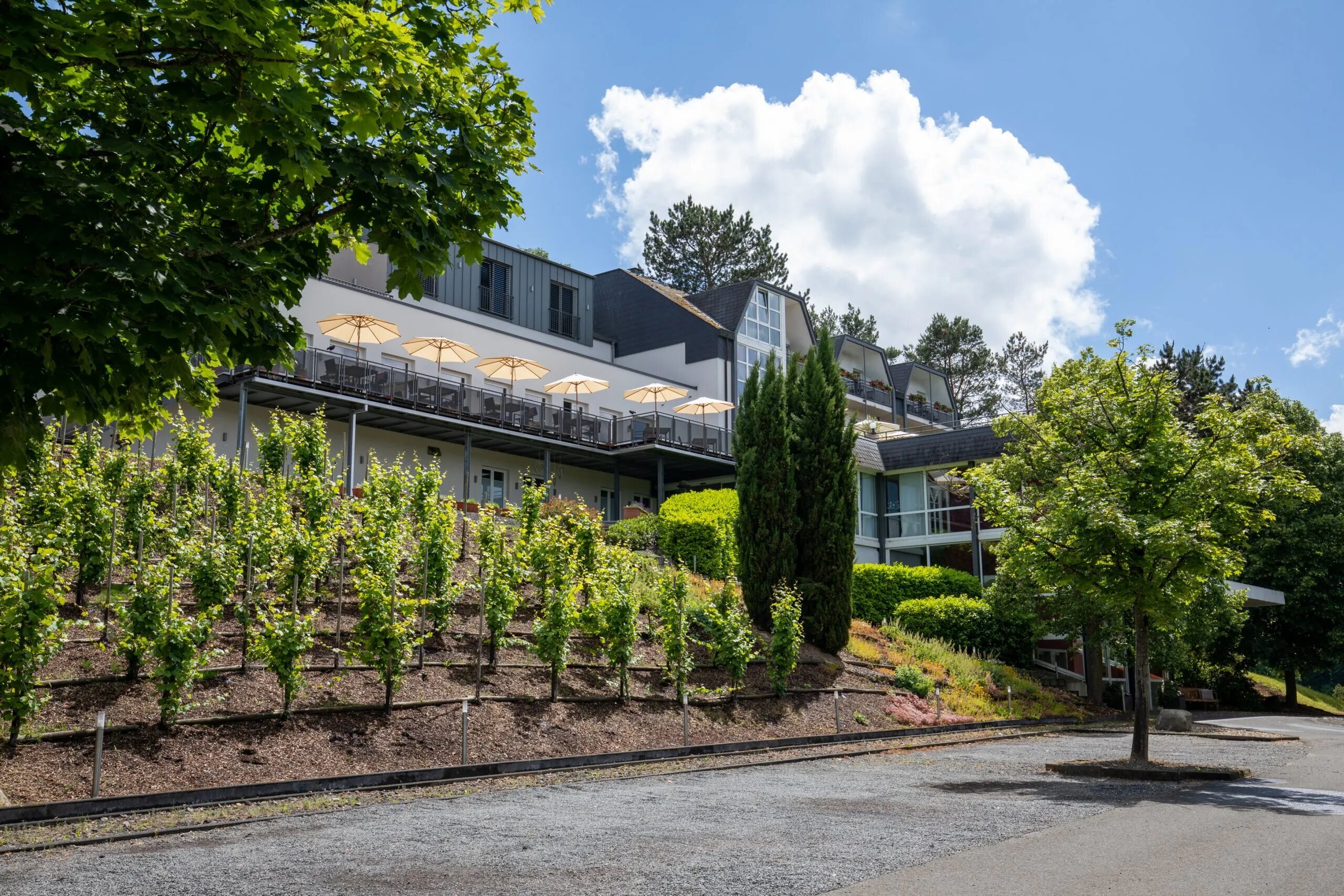 Hotel Vulcano Lindenhof - Hotel-Außenansicht