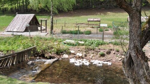Hotel Waldmühle - Terrasse/Außenbereich