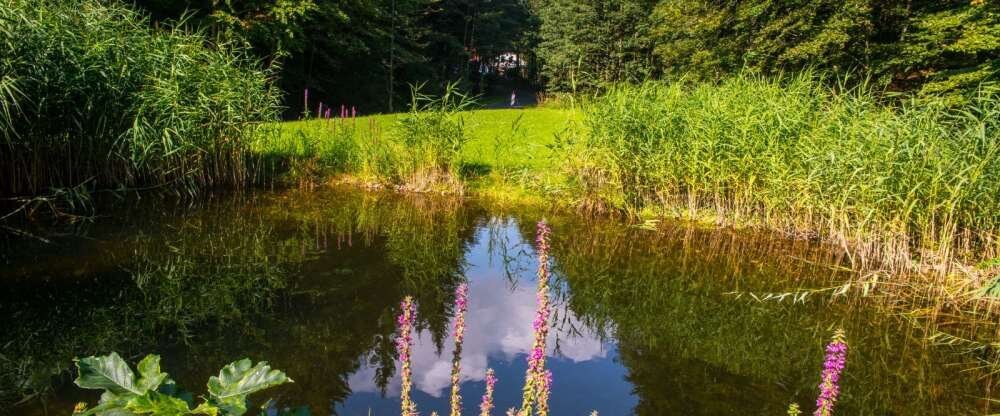 Hotel Waldmühle - Terrasse/Außenbereich