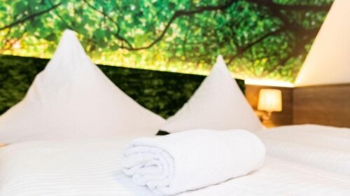 Hotel Waldmühle - Zimmer