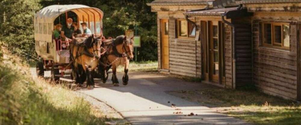 Hotel Wemperhardt - Umgebung