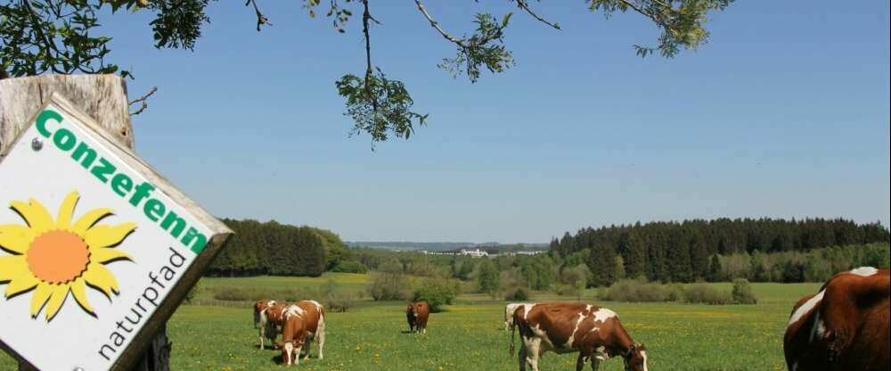 Conzefenn Naturpfad